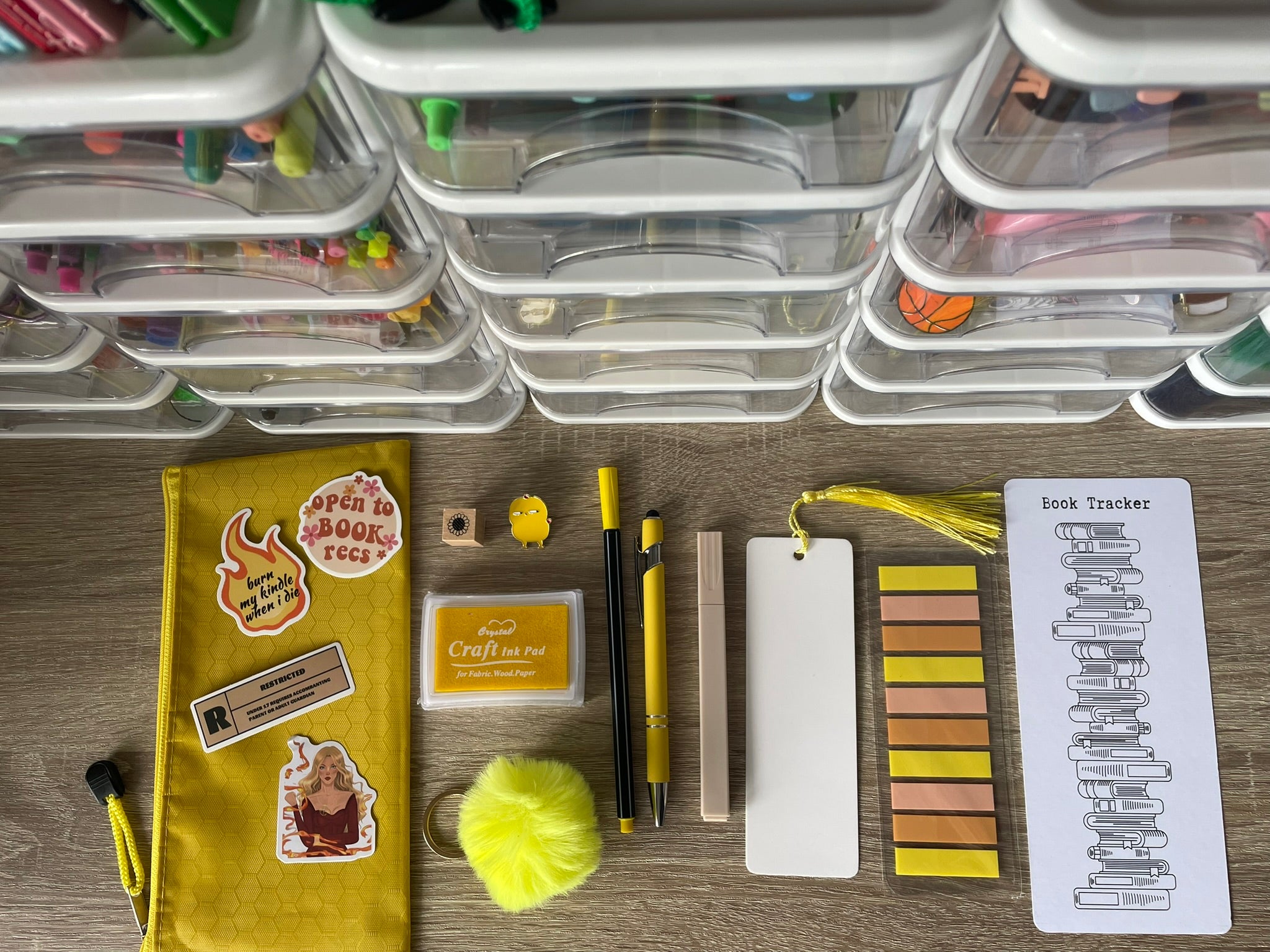 Mystery Bookish Bundles